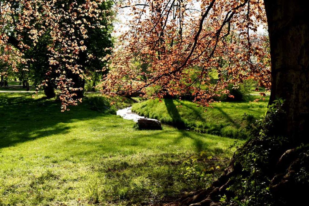 An diesem Sommerag war am Mosbach alles noch in Ordnung. Ob es der Naum war ... Bild: Ralf Brinkmann