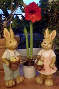 Alles Gute, nur das Beste, gerade jetzt zum Osterfeste! Möge es vor allen Dingen: Freude und Entspannung bringen! Handyfoto: Gesa Niebuhr