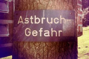 Wer kann, soll Bäume gießen. Bild: flickr / Henrie Schnee