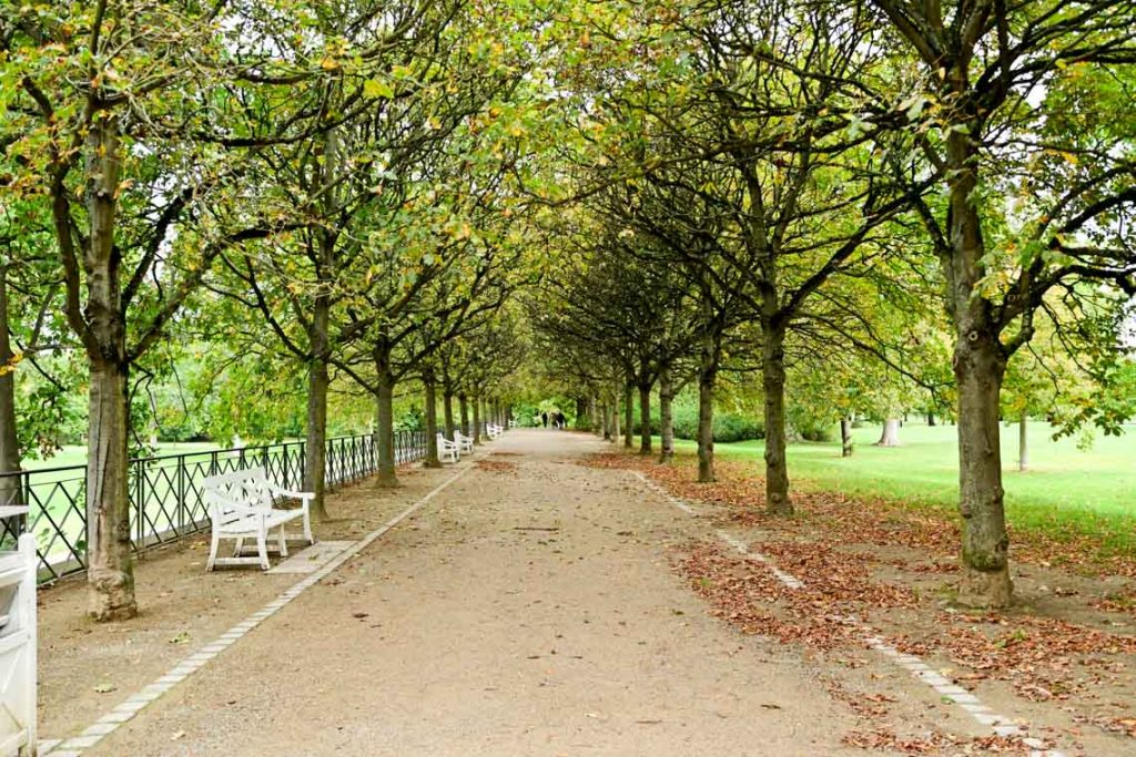 Herbstimpressionen rund um den Biebricher Schloßpark. ©2019 Volker Watschounek