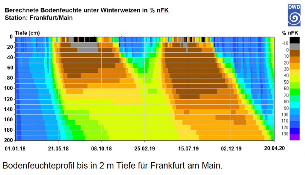 Berechnete Bodenfeuchte©2020 DWD