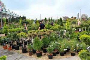 Gartencenter Hann in Mainz Kastel. ©2020 Volker Watschounek