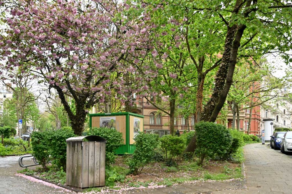 Quartiersplätze aufwerten, Beteiligungsprojekte Mikro-Oasen. Bülowplatz