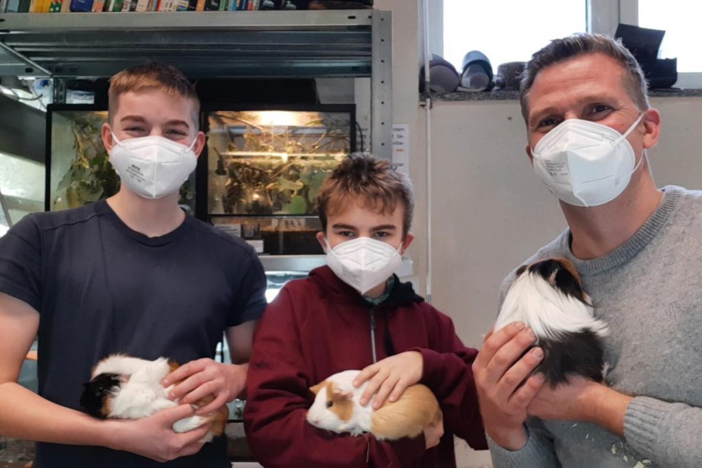 SCHÜLER EXPERIMENTIEREN BIOLOGIE mit Meerschweinchen