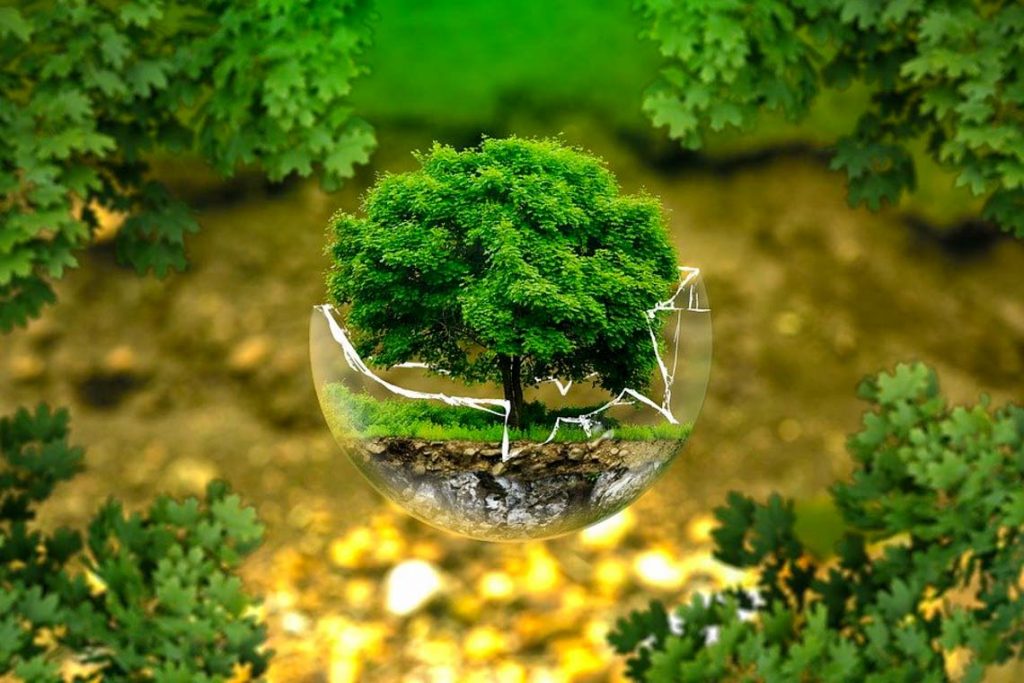 Grüne Welt im Glas