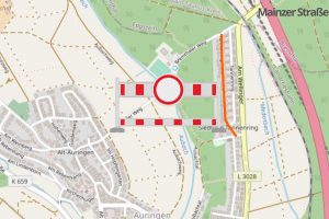 Tannenring in Auringen