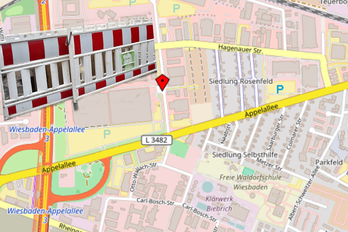 Friedrich Bergius Strasse