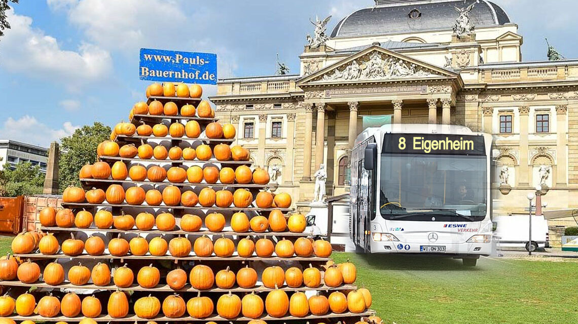 Zu Stadtfest mit dem Veranstaltungsticket.