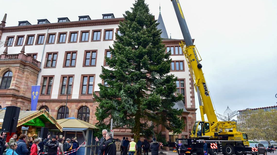 Wiesbadener Weihnachtsbaum