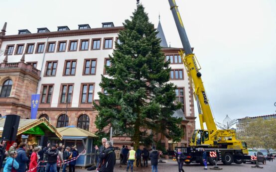 Wiesbadener Weihnachtsbaum