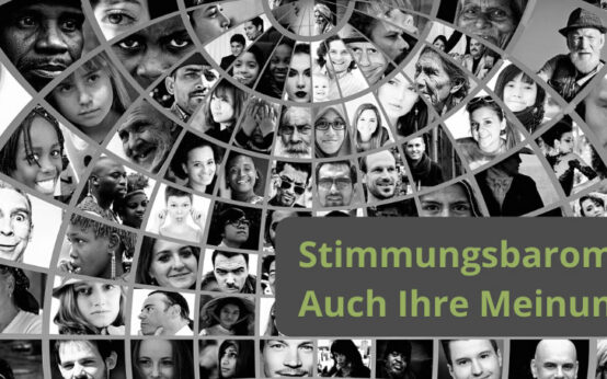 Stimmungsbild, Meinungsumfrage