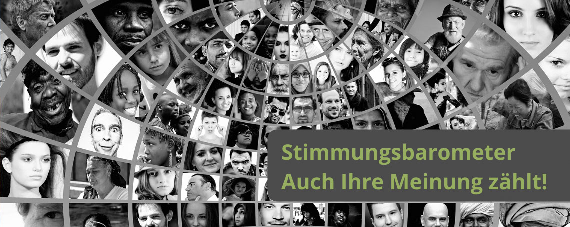 Stimmungsbild, Meinungsumfrage