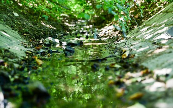 Trockene Bäche in Frauenstein: Erlenbach Foto: Volker Watschounek