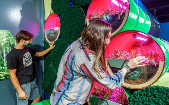 Bioökonomie, die MS Wissenschaft legt im Wiesbaden Biebrich an.