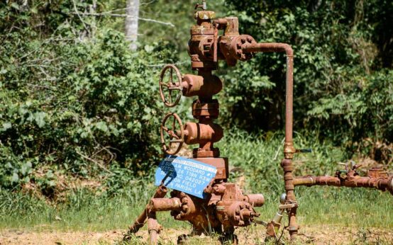 Grunselsbörnchen, Gasleitung. ©2020 Pixabay, Kyle McKaskle