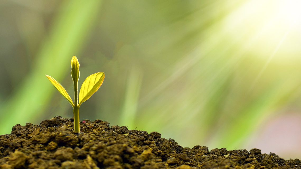 ©2020 Pixabay eko pramono auf Pixabay