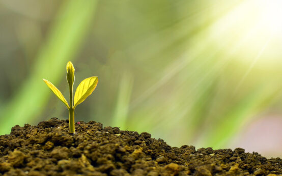 ©2020 Pixabay eko pramono auf Pixabay