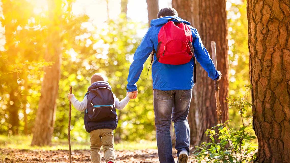 Volksbildungswerk: Aktiv in den Herbst: 5 Ideen