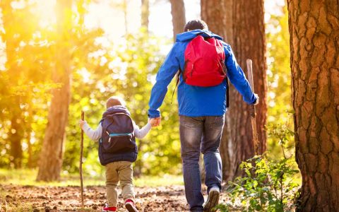 Volksbildungswerk: Aktiv in den Herbst: 5 Ideen