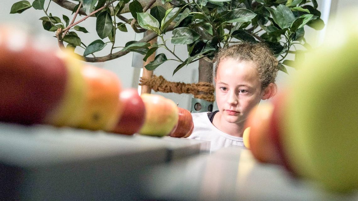 Apfelausstellung Foto: Bernd Fickert