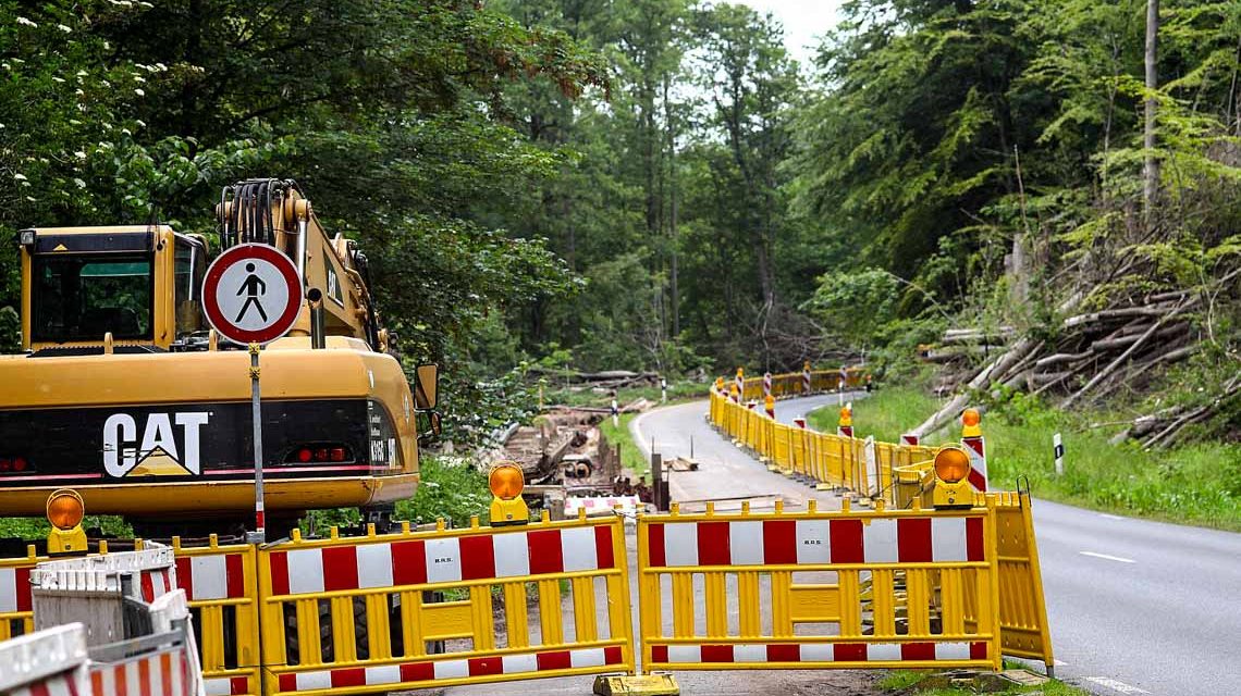 Baumschnitt ©2020 wittkielgruppe