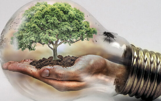 Wiesbaden soll Klimahauptstadt werden ©2020 Iván Tamás auf Pixabay