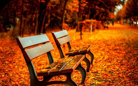 Herbst ©2020 Pixabay pepperminting