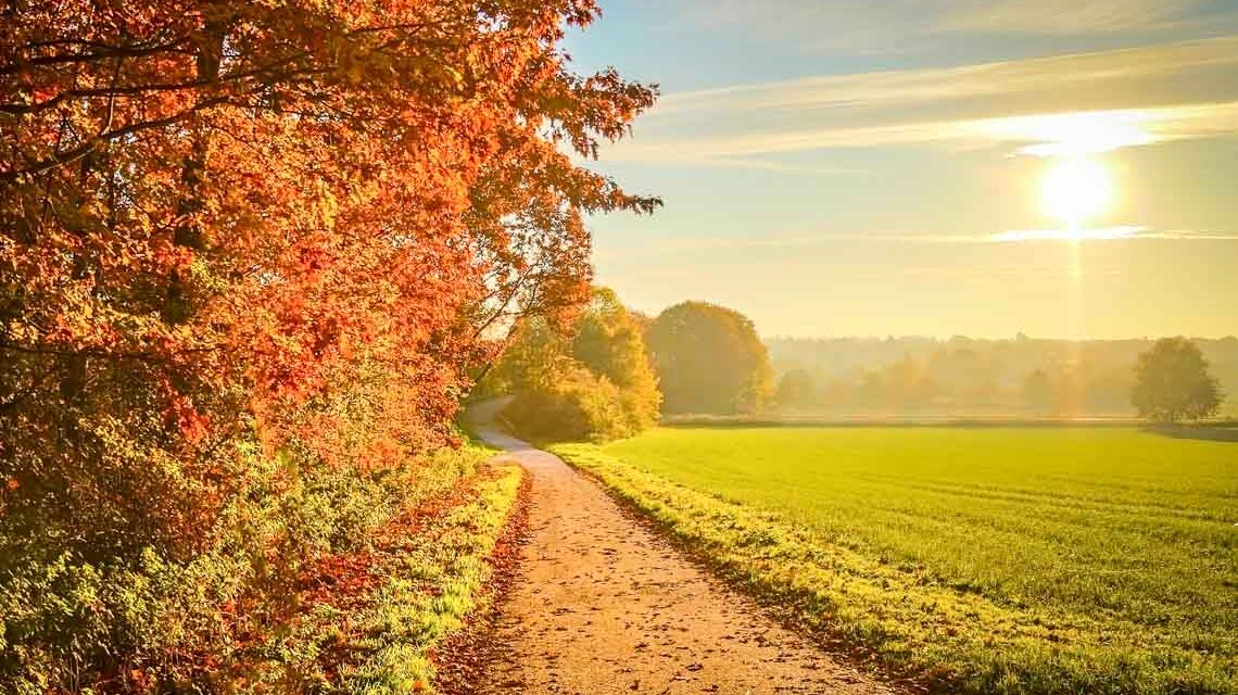 Sonnenuntergang im Herbst ©2020 ddzphoto auf Pixabay