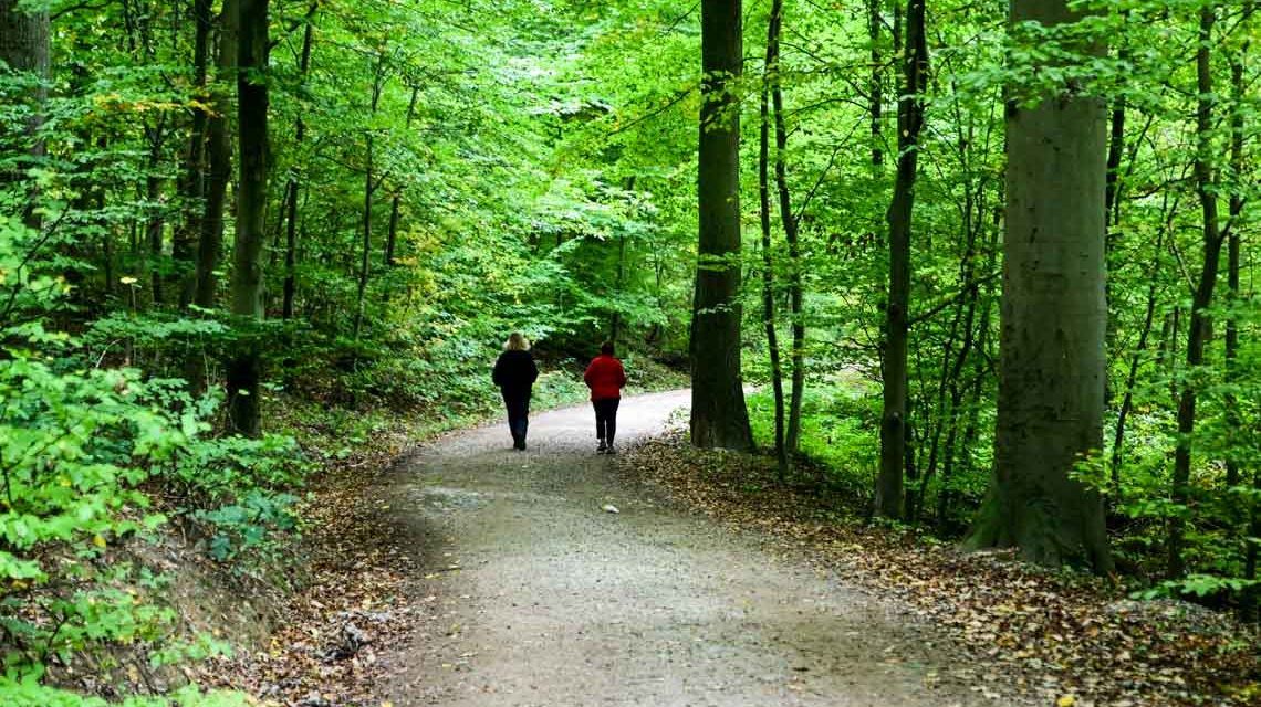 Spaziergang entlang des Kesselbachs