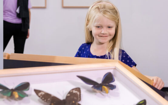 Kind in der Ausstellung Schmetterlingen auf der Spur. Foto: Museum Wiesbaden / Bernd Fickert