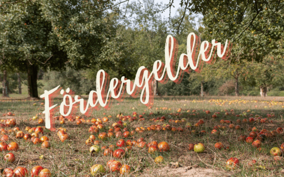 Fördergelder für Streuobstwiesen