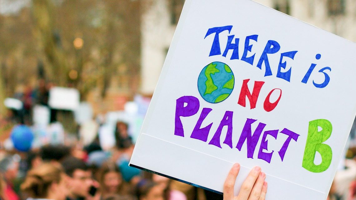 Keine Stadtentwicklung ohne Klimaanpassung , Gutachtenvergaben