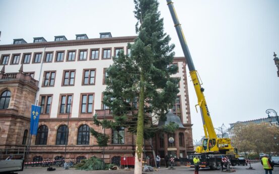 Kein Glühwein, keine Bratwurst, keine Weihnachtsbaumkönigin. Die Schaulustigen ließen sich davon nicht abhalten.