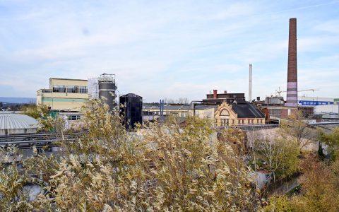 Industriestandort Wiesbaden, Industriebeirat