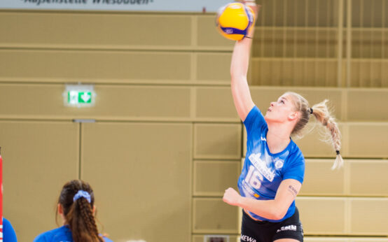 Volleyball Bundesliga