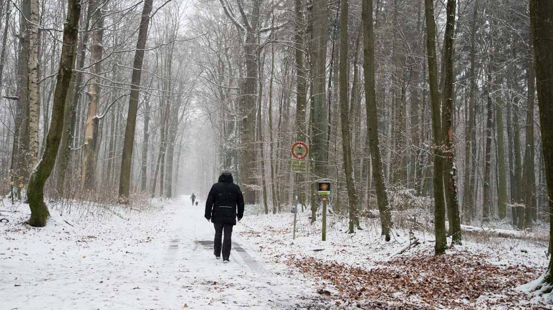 La Niña: Weiße Weihnachten?