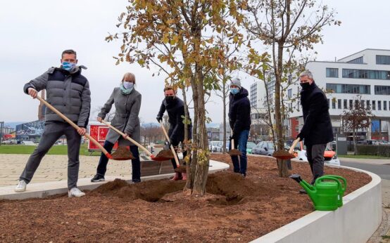 Baumpflanzungen im Kulturpark