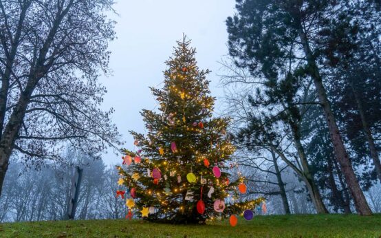 Weihnachtsbaum am Schelmengraben