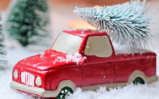 Weihnachtsbaum richtig lagern oder gleich aufstellen. So bleibt er lange frisch