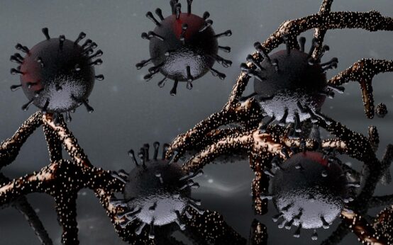 Covid B.1.351, Covid B.1.1.7, Corna Mutation ©2021 Inactive_account_ID_249 Pixabay, SARS-Cov-2