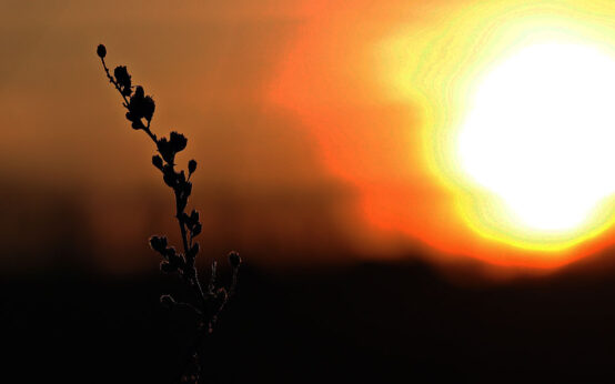 Sonnenuntergang ©2021 S. Hermann & F. Richter auf Pixabay