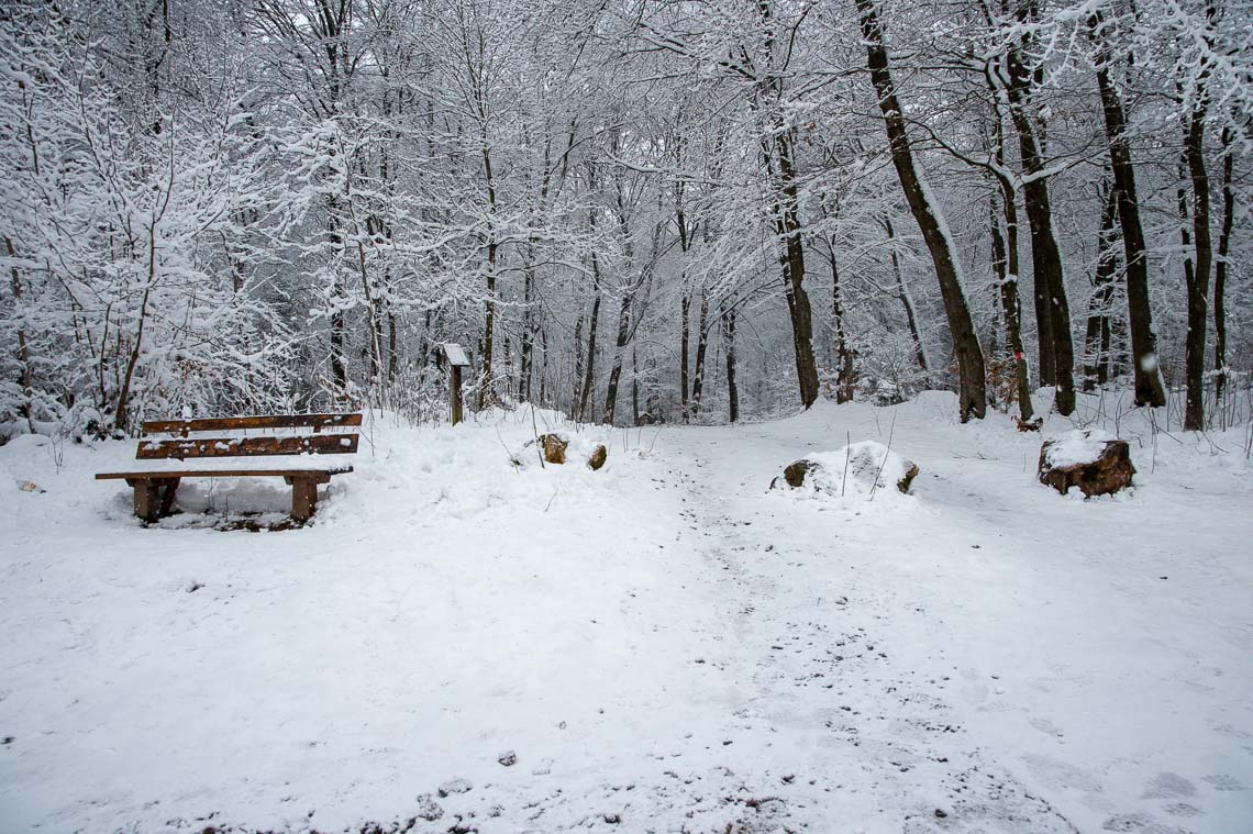 Wenn Der Schnee Schmilzt Sieht Man Wo Die Wie und wann Schnee schmilzt | Wiesbaden lebt