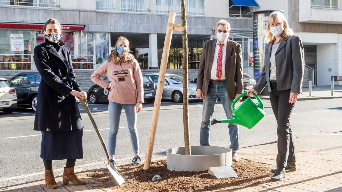 Symbolfoto: DRK Pflanzaktion Wiesbaden