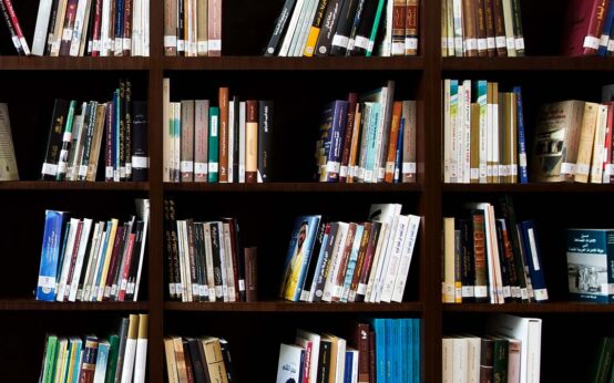 Bibliotheksausweis, Stadtbibliothek, Kostenloser Testzugang zum Online-Angebot der Stadtbibliotheken für drei Monate, Osterferien.