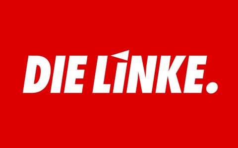 Die Linke. , Ronny Maritzen