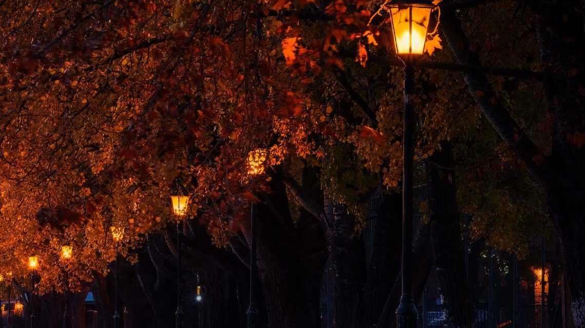 Licht im Park, Parkbekleuchtung, Radweg