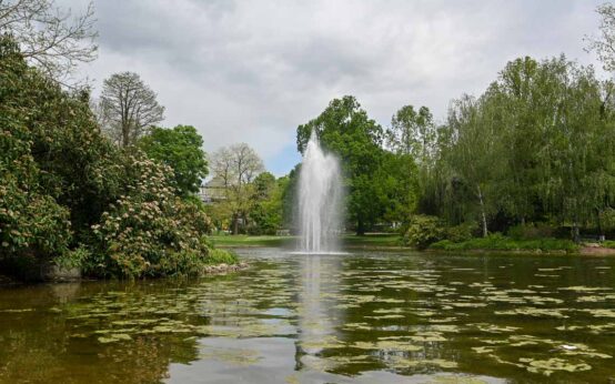 Warmer Damm Wiesbaden, grüner Teich im Vordergrund mit Wasserfontöäne.