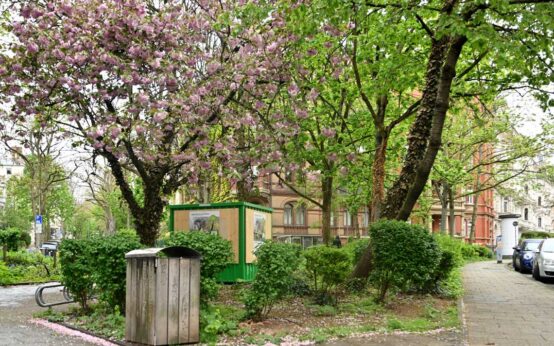 Quartiersplätze aufwerten, Beteiligungsprojekte Mikro-Oasen. Bülowplatz