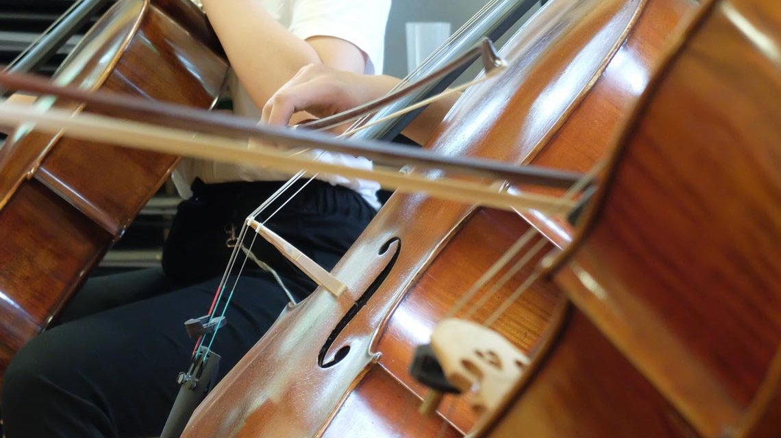 Cellisten unter sich