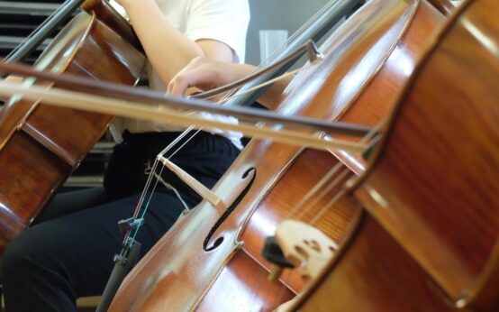 Cellisten unter sich